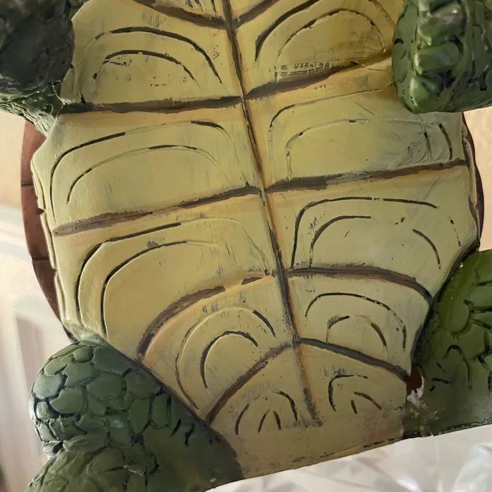 Turtle with riding Gnome from Australia 2011